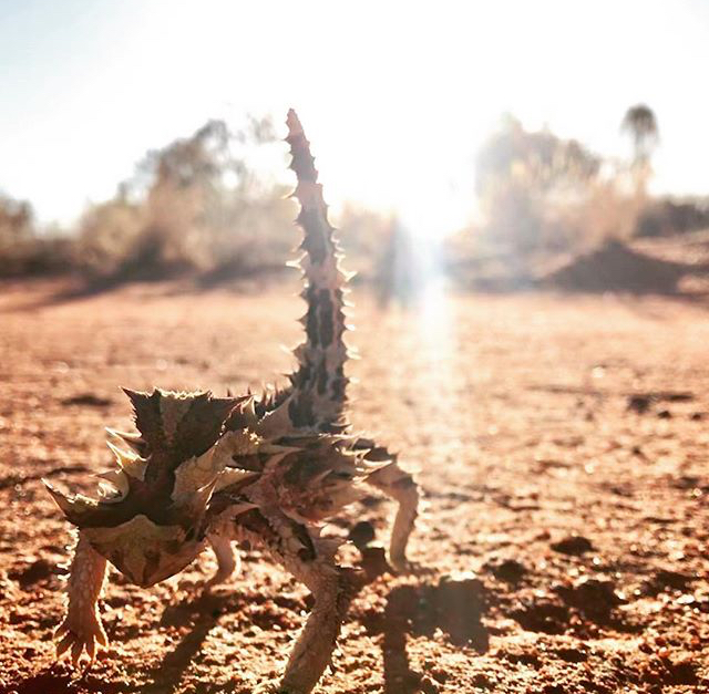 5 reasons to visit Uluru this summer